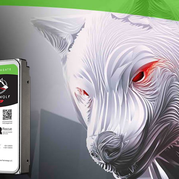 Seagate 10TB 3.5" IronWolf Pro NAS SATA3 NAS 24x7 Performance HDD (ST10000NE0004)